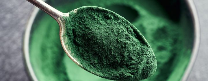 Spoonful of Spirulina powder